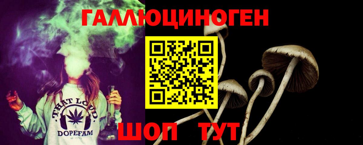 Псилоцибиновые грибы Psilocybine cubensis  Псилоцибиновые грибы мухоморы  наркотики  Бор  Вход с VPN 